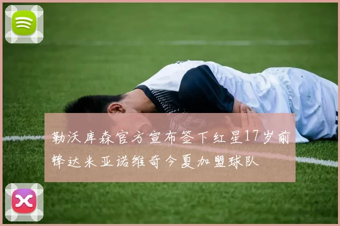 勒沃库森官方宣布签下红星17岁前锋达米亚诺维奇今夏加盟球队