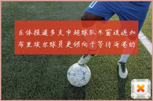 东体报道多支中超球队冬窗追逐加布里埃尔球员更倾向于等待海港的机会