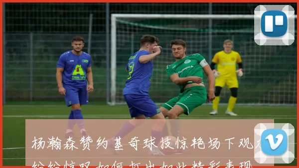 杨瀚森赞约基奇球技惊艳场下观众纷纷惊叹如何打出如此精彩表现